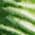 Color Swatch - Green