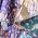 Color Swatch - Blue
