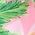 Color Swatch - Pink