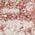 Color Swatch - Pink