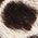 Color Swatch - Hot Fudge Multi