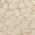 Color Swatch - Ivory/Black