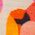 Color Swatch - Multi/Misc