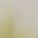 Color Swatch - Green