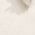 Color Swatch - White