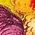 Color Swatch - Floral