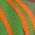 Color Swatch - Green