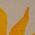 Color Swatch - Marigold
