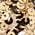 Color Swatch - Gold