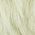 Color Swatch - Green