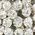 Color Swatch - Silver