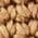 Color Swatch - Tan