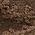 Color Swatch - Brown