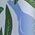 Color Swatch - Green