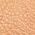 Color Swatch - Tan