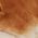 Color Swatch - Tan