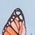 Color Swatch - Butterfly