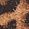 Color Swatch - Animal