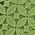 Color Swatch - Green
