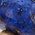 Color Swatch - Blue