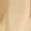 Color Swatch - Gold
