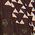 Color Swatch - Brown Multi Geo