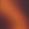 Color Swatch - Brown