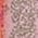 Color Swatch - Pink