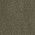 Color Swatch - Forest Night