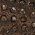 Color Swatch - Brown