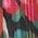 Color Swatch - Floral