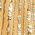 Color Swatch - Gold