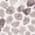 Color Swatch - Grey Print