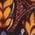Color Swatch - Brown