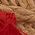 Color Swatch - Red