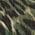 Color Swatch - Forest Leo