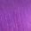 Color Swatch - Purple