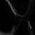 Color Swatch - Black