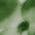 Color Swatch - Green