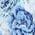 Color Swatch - Blue