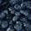 Color Swatch - Blue