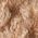 Color Swatch - Camel