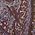Color Swatch - Purple