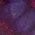 Color Swatch - Purple
