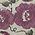 Color Swatch - Floral