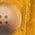 Color Swatch - Yellow