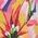 Color Swatch - Floral