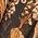 Color Swatch - Batik