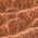 Color Swatch - Brown