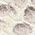 Color Swatch - Ivory
